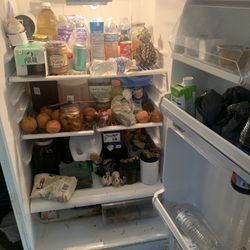 Refrigerator And Freezer 