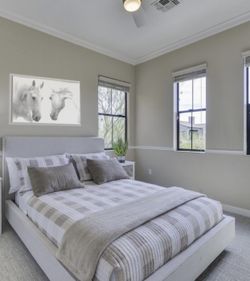 Queen Bed And Mattress For Sale 