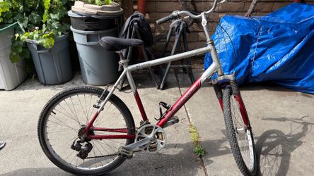 Men’s Bicycle 21” Frame