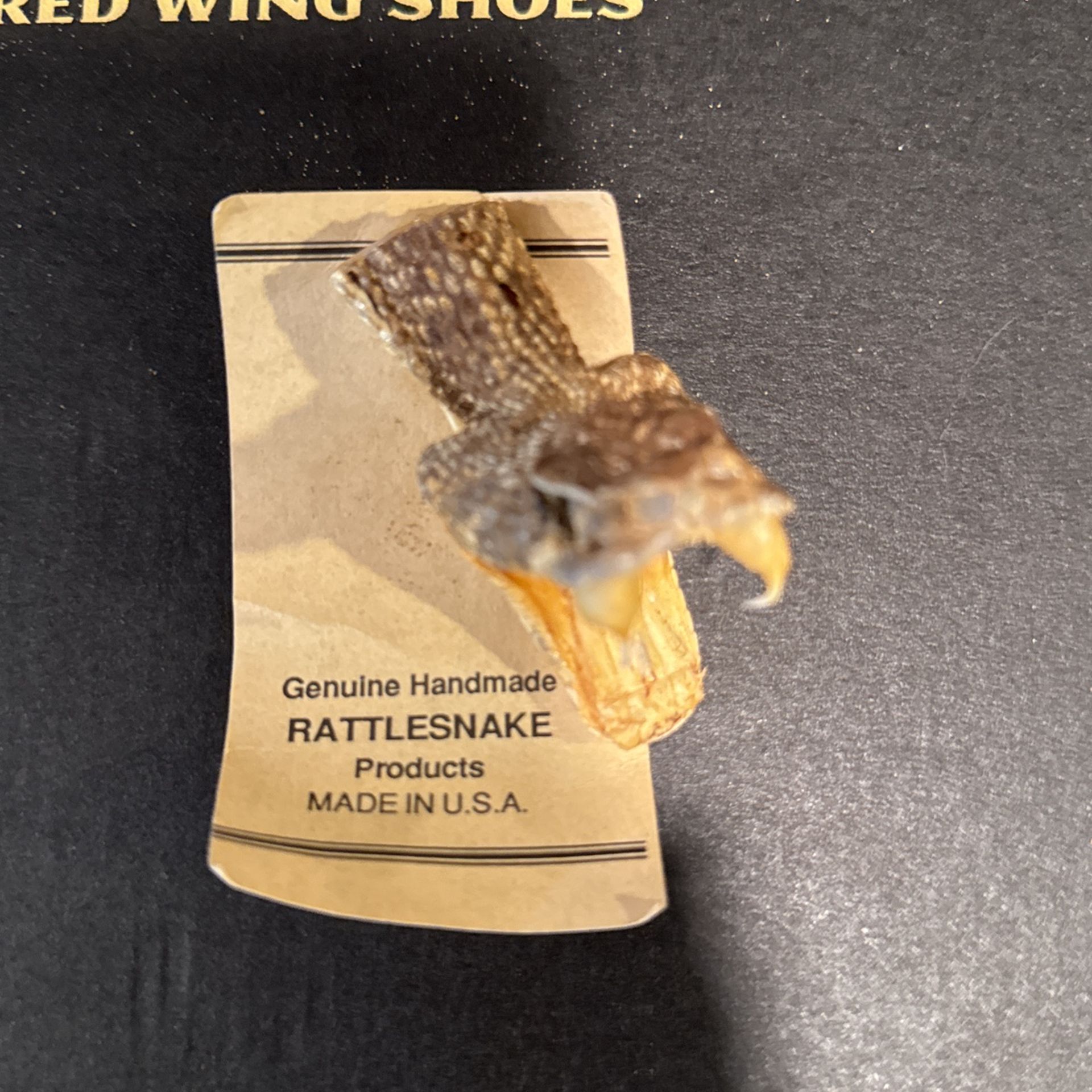 Genuine Rattlesnake Head