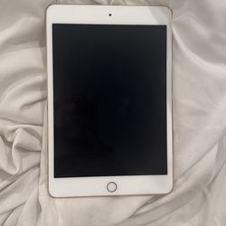 Ipadmini4