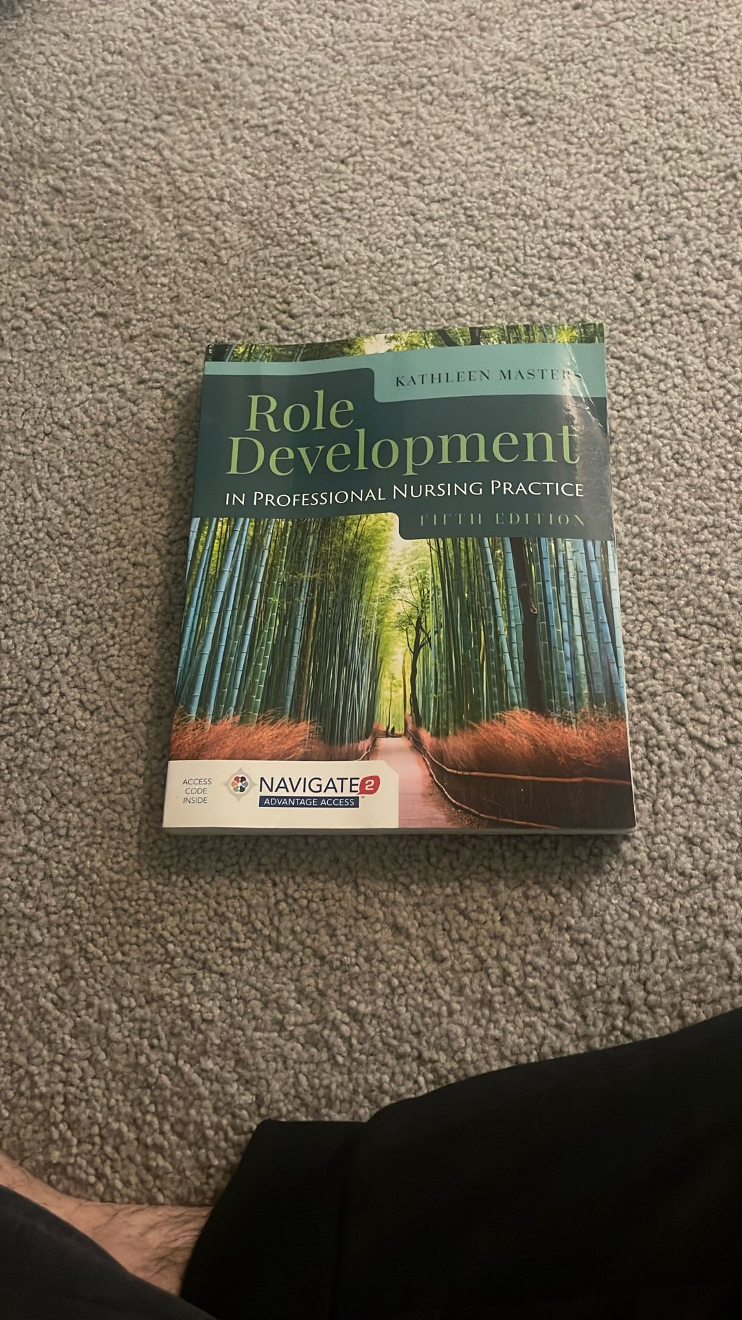 Role Development In Professional Nursing Practice 