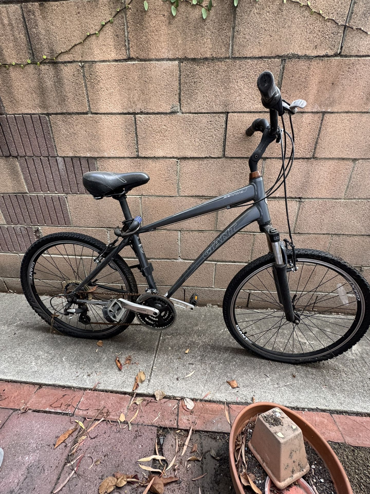 Giant Bike (fixer upper in as is condition) 