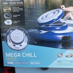 Pool Float 
