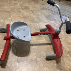 Kids Ziggle.  Radio Flyer