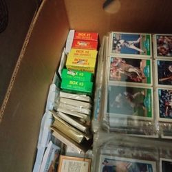 Baseball Card Collection 