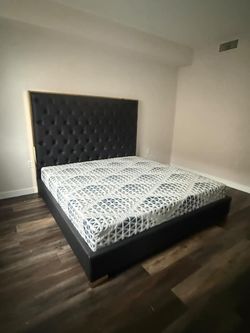 Bed frame // financing available