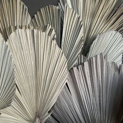 10 Dry Cut Palm Leaves For Wedding Decor