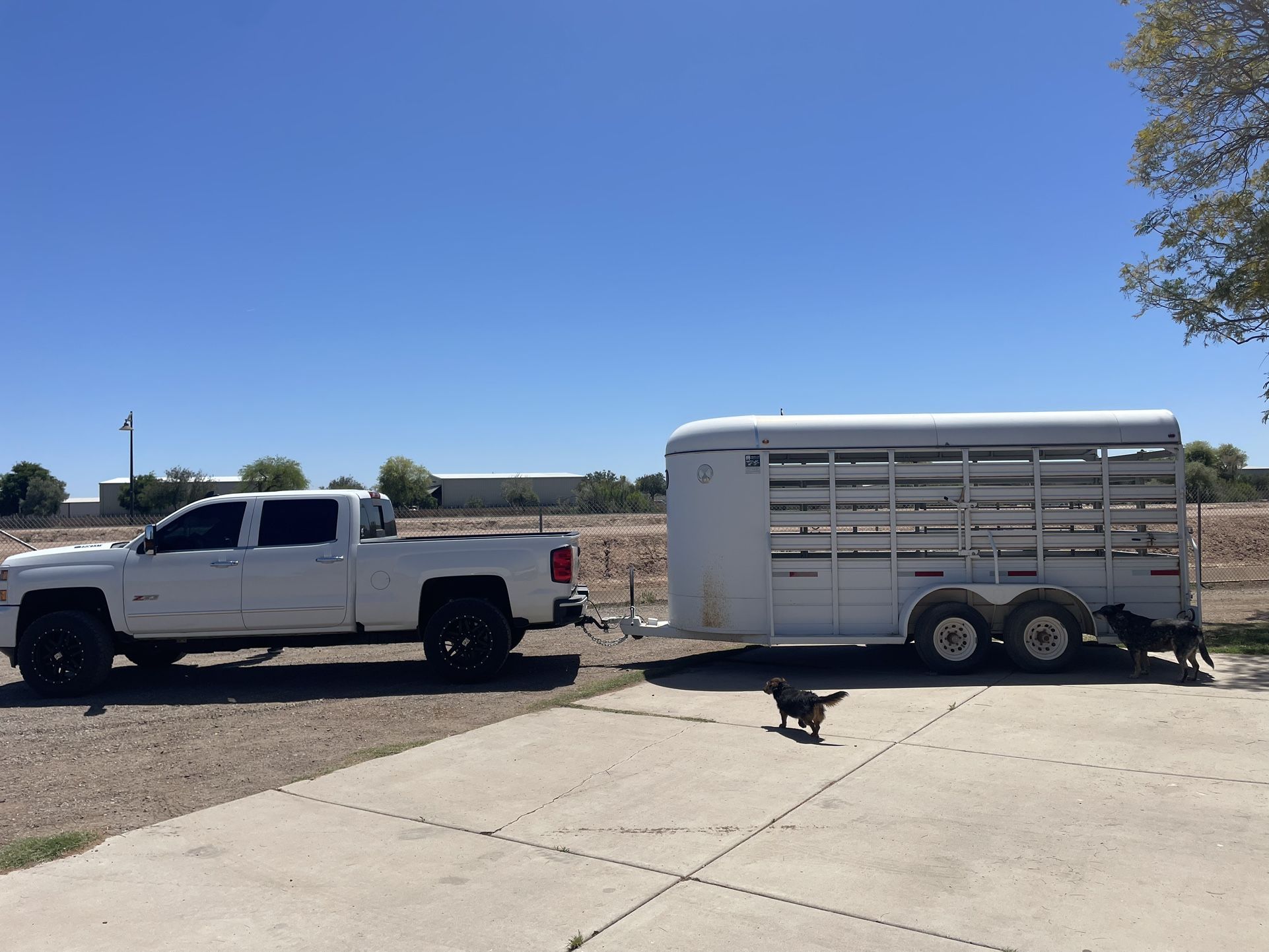 Horse Trailer 