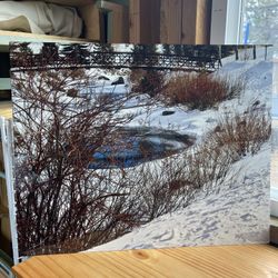 Metal Photography Print