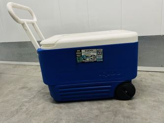 Igloo Cooler 36 Liter