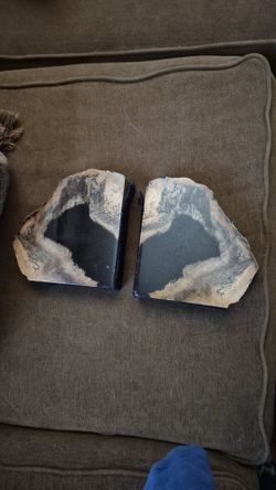 Vintage petrified wood bookends