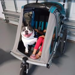 Double Seat Child Trailer
