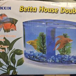 Betta Dual Habitat