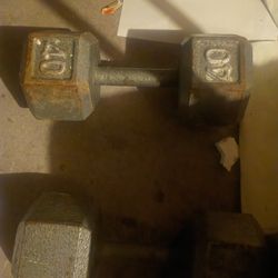 40lb Dumbbells 