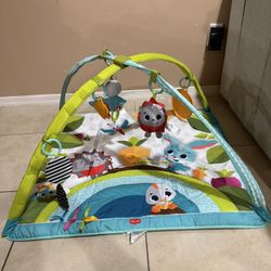 Tiny Love Meadow Days Sunny Day Gymini