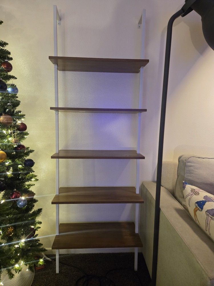 Bookshelves (Brown and White)!