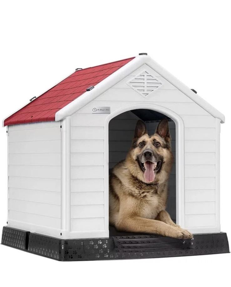 Dog House 