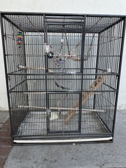 Bird Cage
