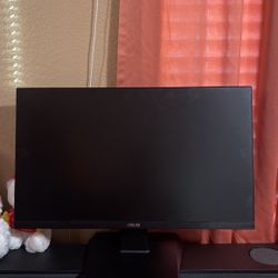 Asus Monitor 