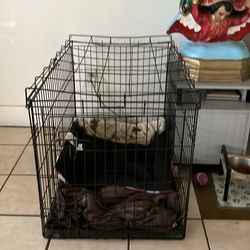 Black Dog Cage