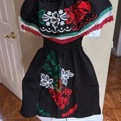 Mexican Fiesta Dress Size Large