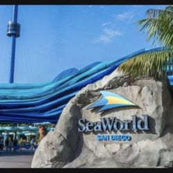 SeaWorld Ticket