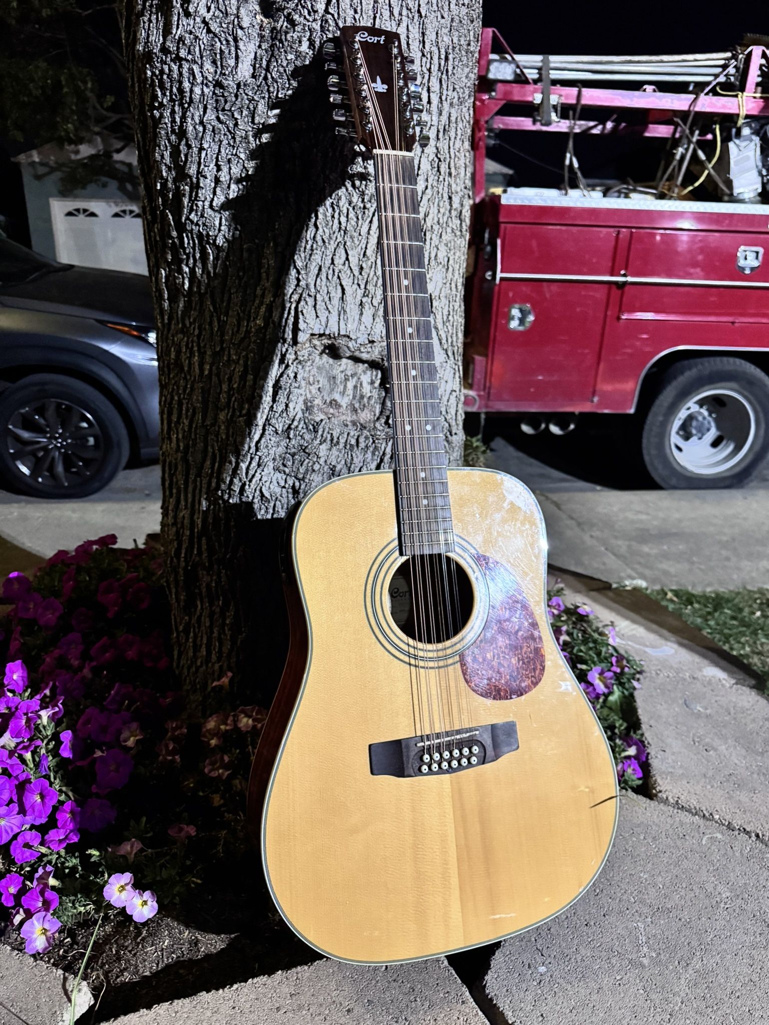 Cort 12 String Electric-Acoustic Guitar