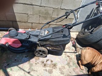 Lawn mower and weed Wacker electric