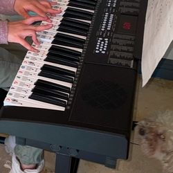 Keyboard Beginner Key Board 