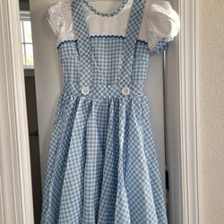blue gingham dorothy dress Shop Coquette Wizardry: Dorothy Heirloom Dress