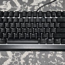 SteelSeries Apex 3 TKL RGB Gaming Keyboard 