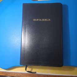 Biblia Clasica Reina Valera 1909