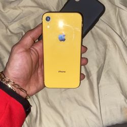 iPhone Xr  