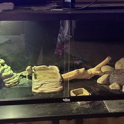 Bearded Dragon Enclosure 
