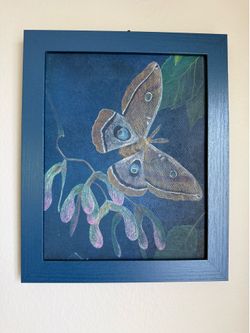 Framed 8x10 Blue Butterfly Pencil Drawing