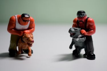Homies Series #8 (Chasers)