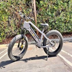 Electric Bike Options – Find the Perfect Ride for Your Preferences role case