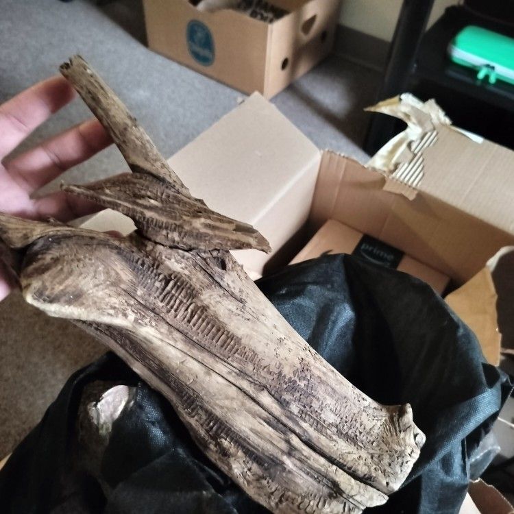 Reptile Enclosure Stuff