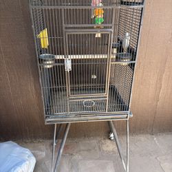 Bird Cage 