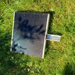 Dog Step That Goes Into The Hitch