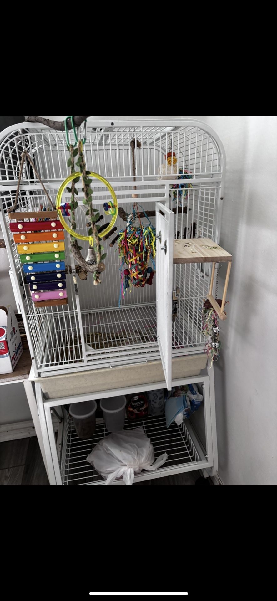 Bird cage
