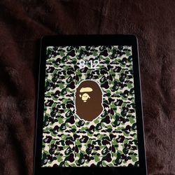 iPad 