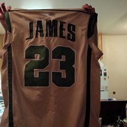 Lebron James 2003 Irish Jersey  For Sale 500$ It's In Perfect Condition 