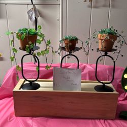 Succulents made from beads