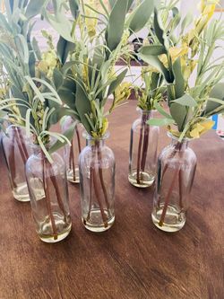 6 Pc.  Glass Jar Decor