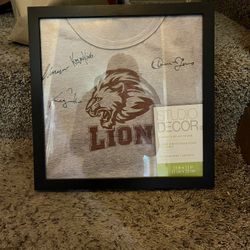 T-Shirt or Jersey Frame 