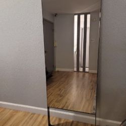 Lulu lemon work out mirror 