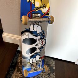 Blind Board Skate Board