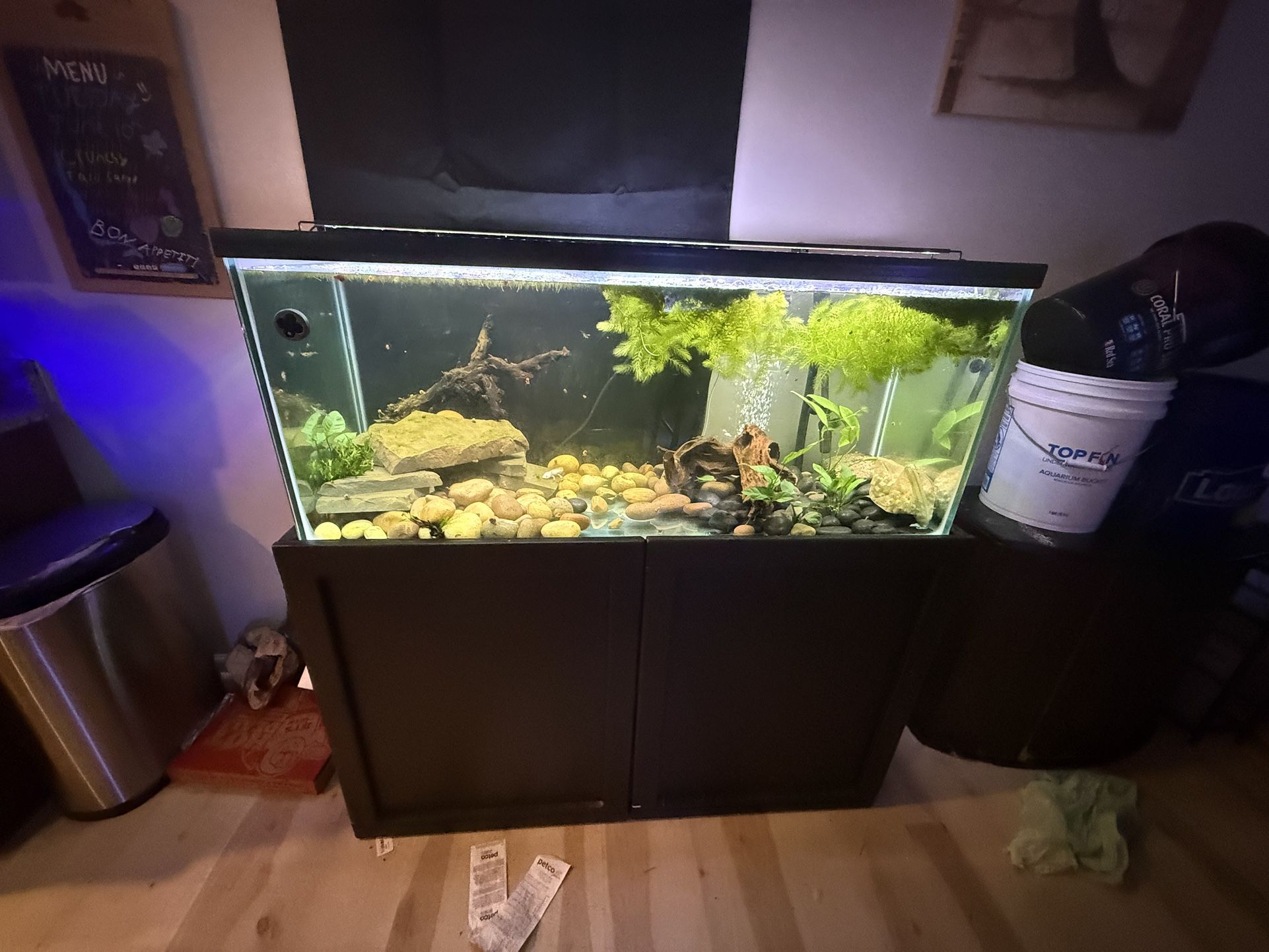 Full Axolotl Set Up